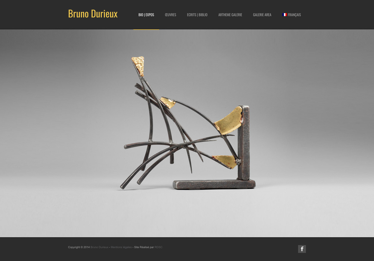 rdsc bruno durieux website screenshot